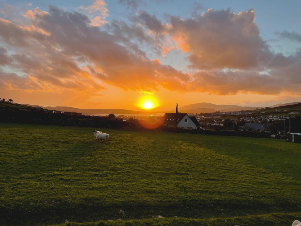 Duinin House B&B Dingle Eksteriør bilde